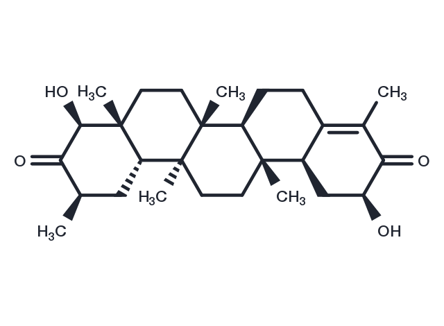 Triptocalline A Chemical Structure