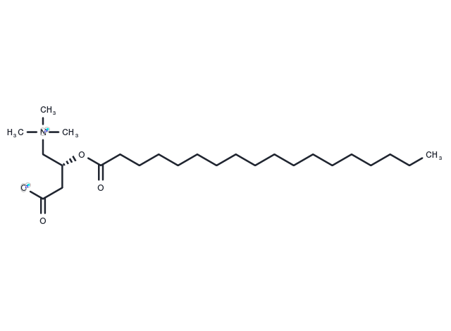 Stearoylcarnitine Chemical Structure
