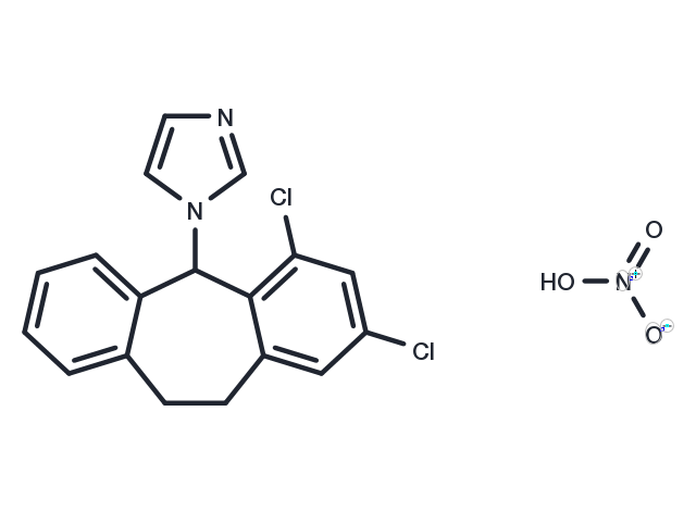 Eberconazole Nitrate