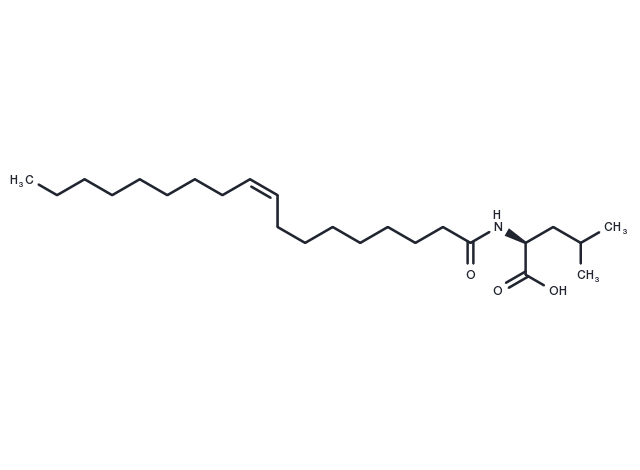 N-Oleoyl Leucine Chemical Structure