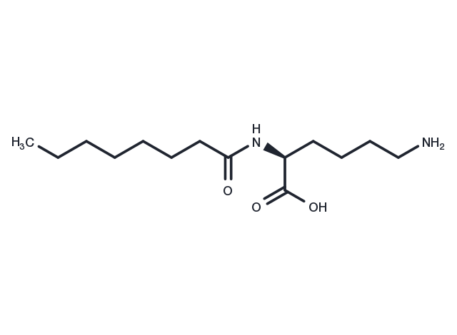 N2-Capryloyl lysine Chemical Structure