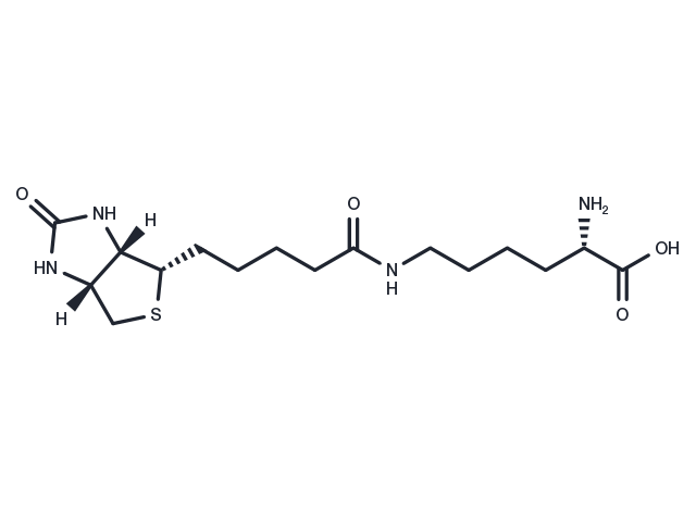Biocytin Chemical Structure