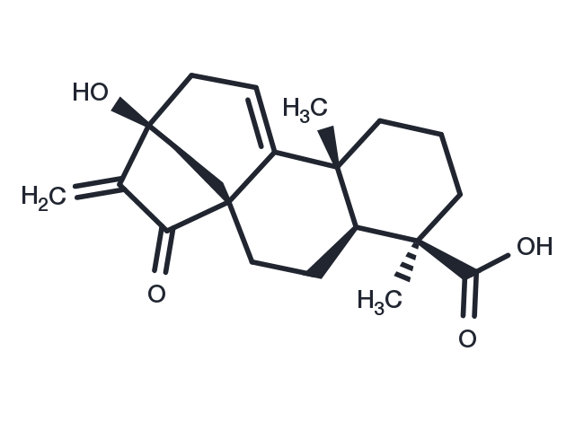 Pterisolic acid C