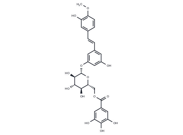 Rhaponticin 6′′-O-gallate