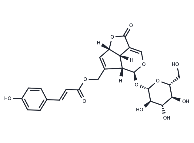 10-O-Coumaroyl-10-O-deacetylasperuloside