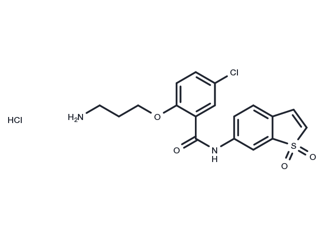 HJC0416 hydrochloride Chemical Structure