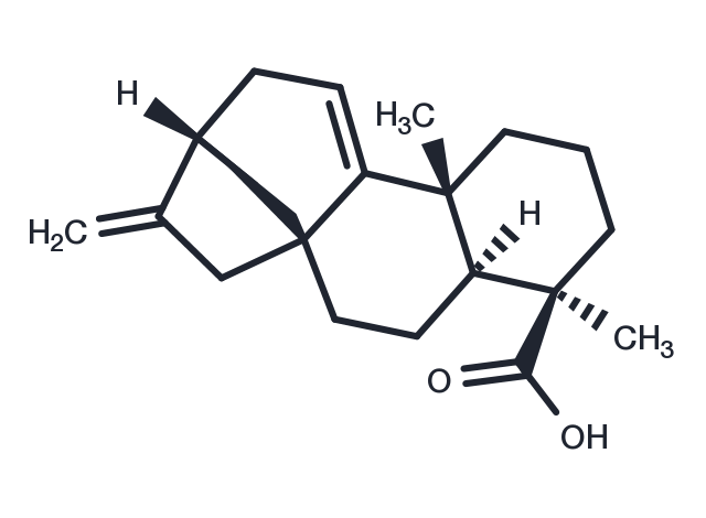 Grandiflorenic acid Chemical Structure