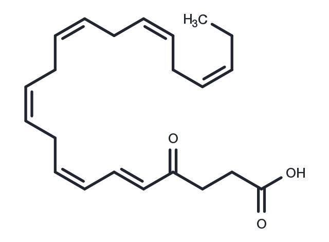 4-oxo Docosahexaenoic Acid Chemical Structure