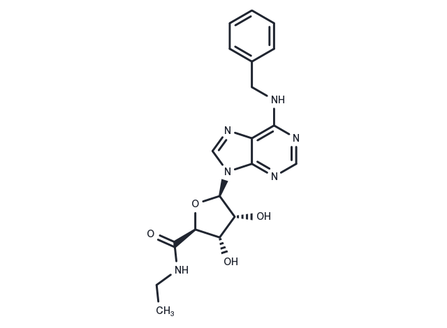 N6-Benzyl-5'-ethylcarboxamido adenosine Chemical Structure