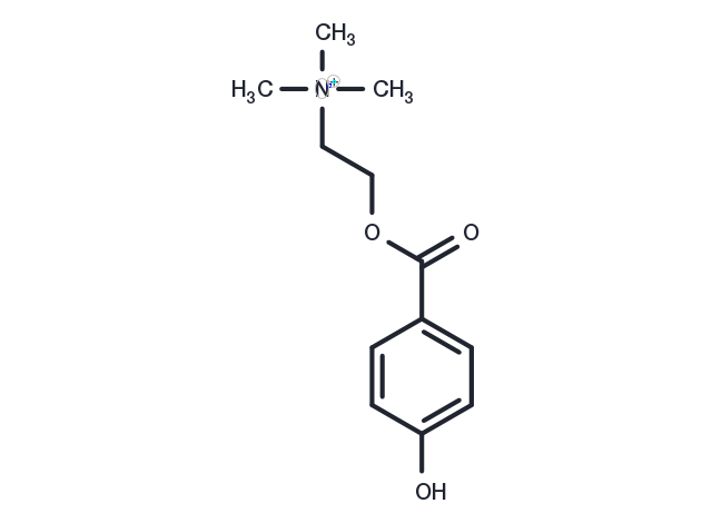 4-Hydroxybenzoyl choline Chemical Structure