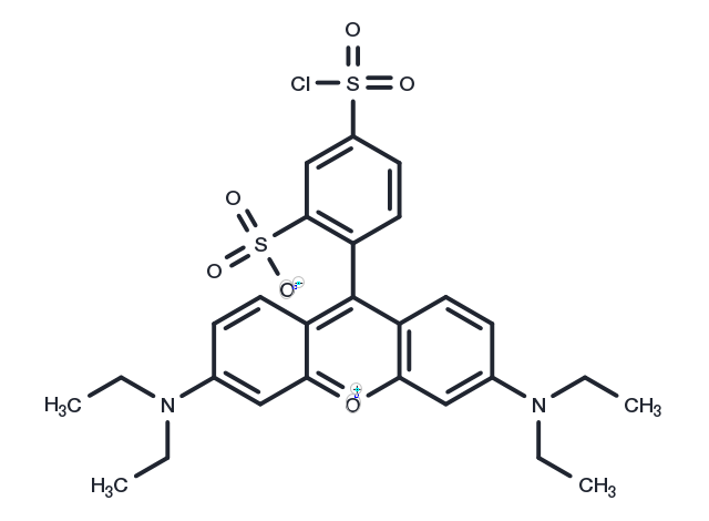 Lissamine rhodamine B sulfonyl chloride Chemical Structure