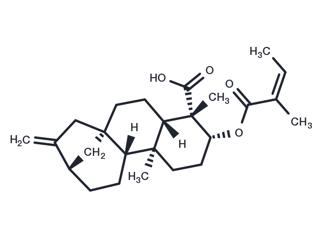 ent-3Beta-Angeloyloxykaur-16-en-19-oic acid