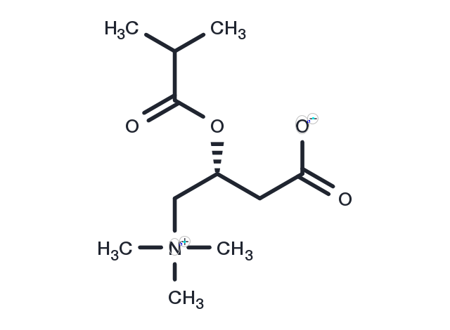 Isobutyryl-L-carnitine Chemical Structure