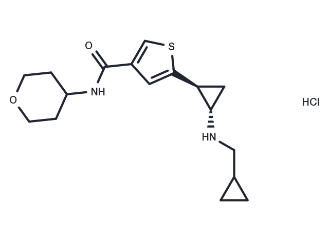 5-[(1S,2S)-2-[(Cyclopropylmethyl)amino]cyclopropyl]-N-(tetrahydro-2H-pyran-4-yl)thiophene-3-carboxamide hydrochloride Chemical Structure