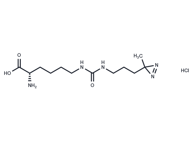 DiZPK Hydrochloride (1337883-32-5 free base) Chemical Structure