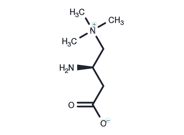 Aminocarnitine Chemical Structure