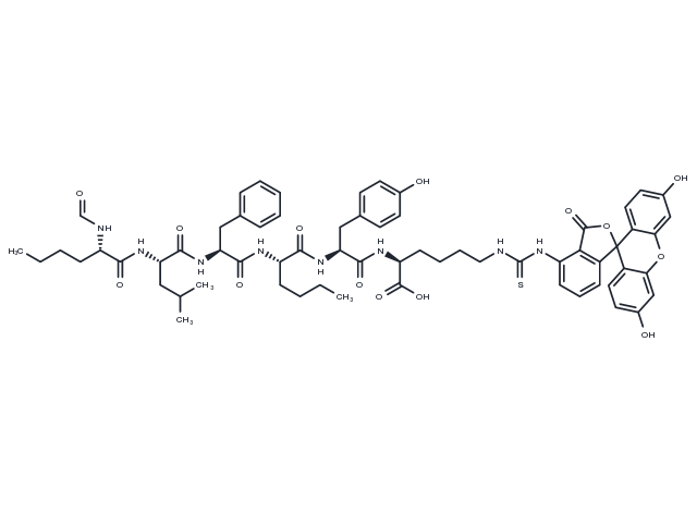 F-Chemotactic peptide-fluorescein Chemical Structure