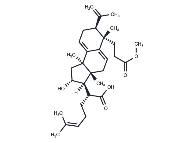 Poricoic acid BM Chemical Structure