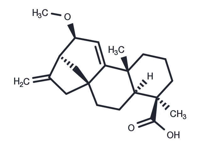 12alpha-Methoxygrandiflorenic acid