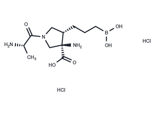 CB-1158 dihydrochloride (2095732-06-0 free base) Chemical Structure