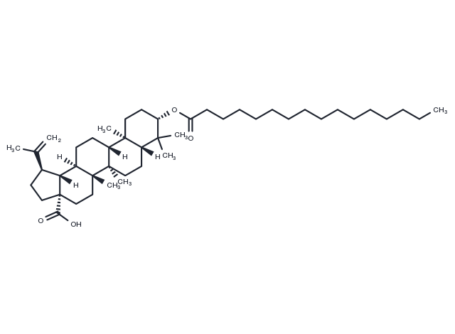 Betulinic acid palmitate Chemical Structure