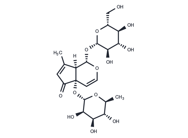 Teucardoside Chemical Structure