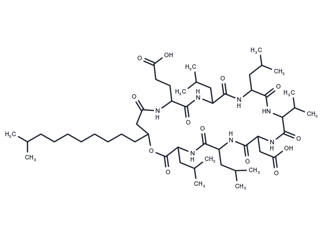 Surfactin B1 Chemical Structure