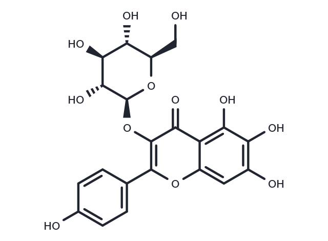 6-Hydroxykaempferol 3-O-β-D-glucoside
