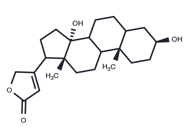 Digitoxigenin (Thevetigenin; Echujetin; Cerberigenin) Chemical Structure