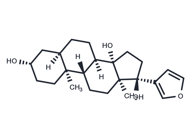 Rostafuroxin Chemical Structure
