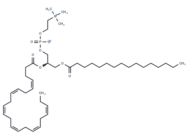 Palmitoyldocosahexaenoyl phosphatidylcholine Chemical Structure