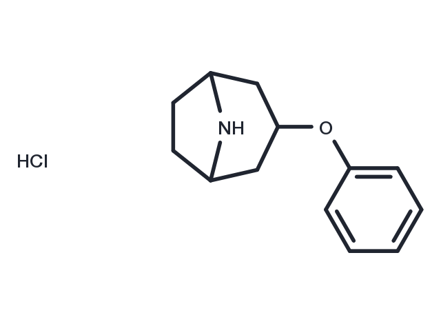 3-phenoxy-8-azabicyclo[3.2.1]octane hydrochloride Chemical Structure