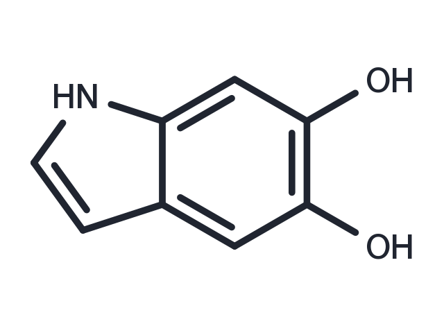5,6-Dihydroxyindole Chemical Structure