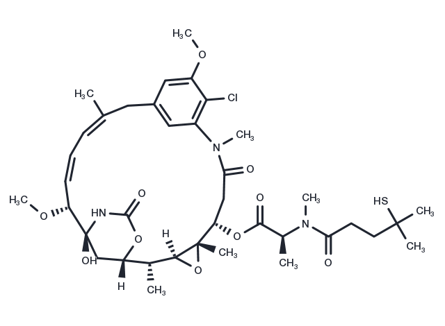 DM4 Chemical Structure