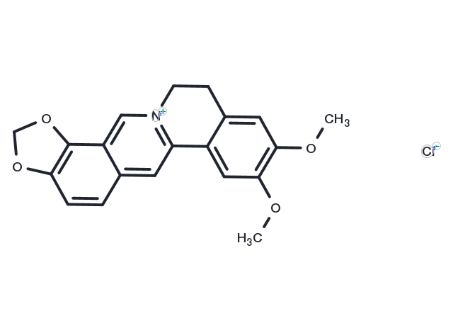 Epiberberine chloride Chemical Structure
