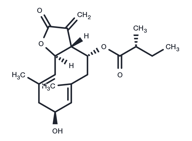 2I<<-Hydroxy-8EC-(2-methylbutyryloxy)costunolide Chemical Structure