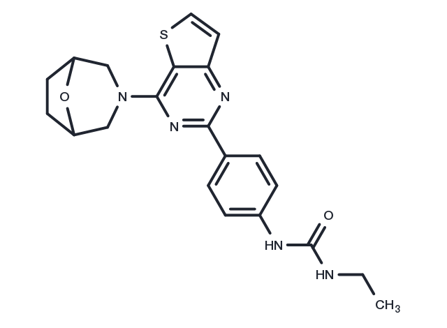 mTOR inhibitor 9b Chemical Structure