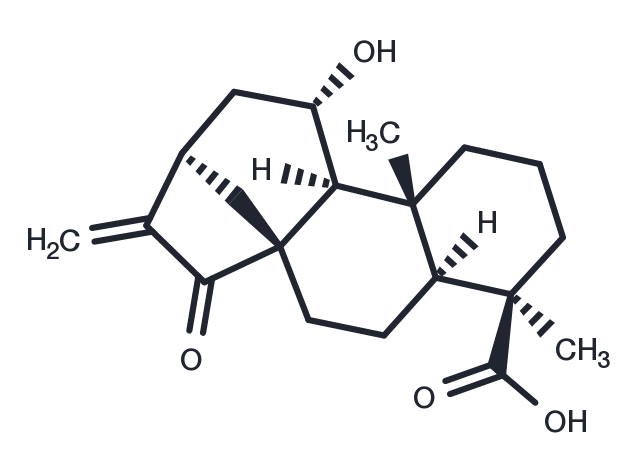 ent-11alpha-Hydroxy-15-oxokaur-16-en-19-oic acid Chemical Structure