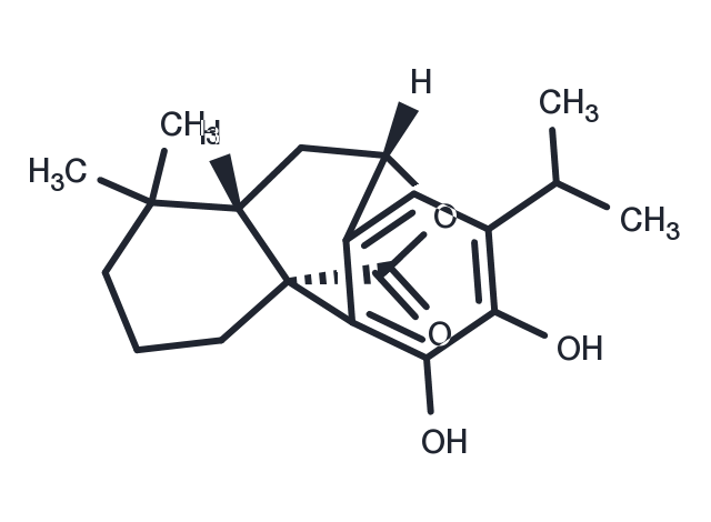 Carnosol Chemical Structure