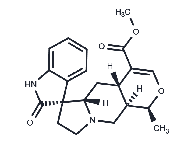 Mitraphylline Chemical Structure
