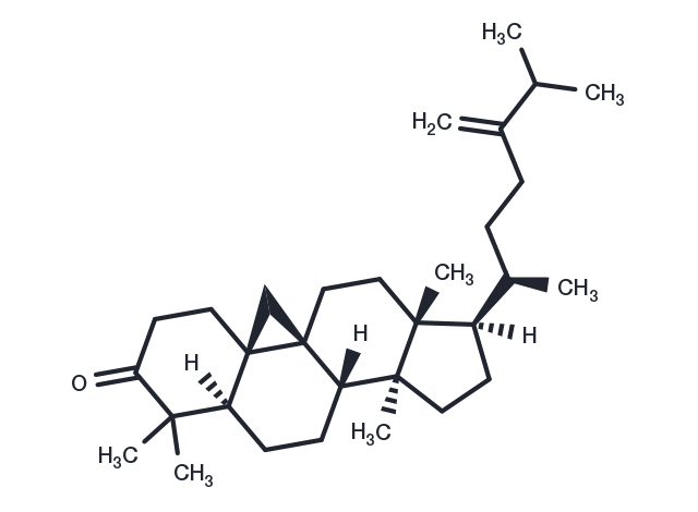 24-Methylenecycloartanone Chemical Structure