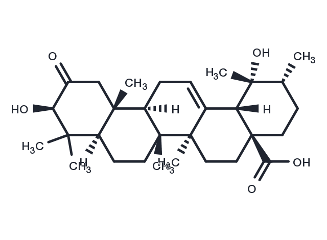 2-Oxopomolic acid