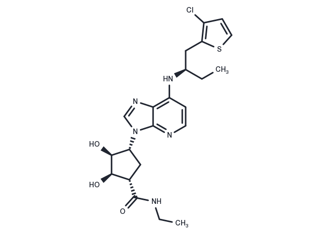 AMP-579 Chemical Structure