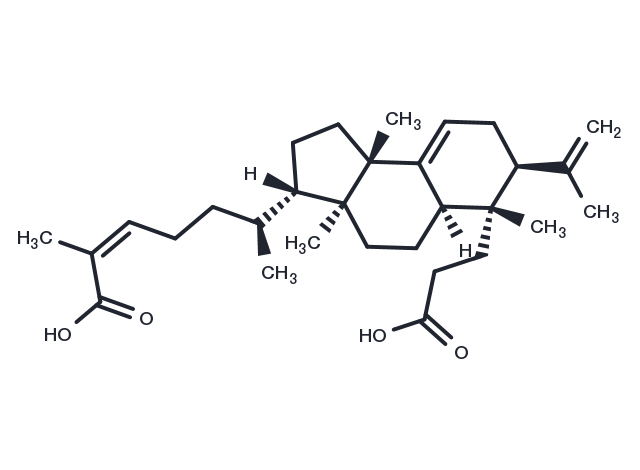 3,4-Secotirucalla-4(28,7,24-triene-3),26-dioic acid Chemical Structure