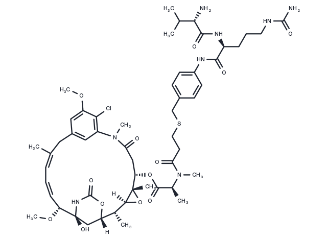 vc-PABC-DM1 Chemical Structure
