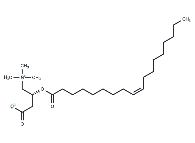 Oleoylcarnitine Chemical Structure