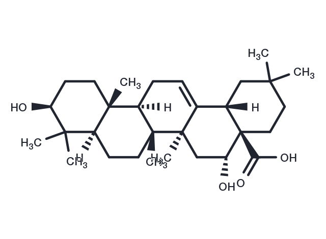 Echinocystic acid Chemical Structure