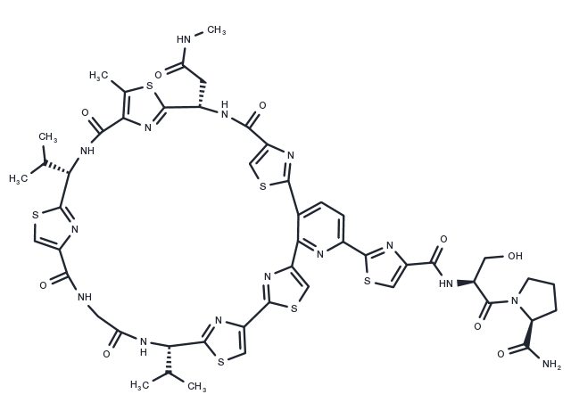 Amythiamicin B Chemical Structure