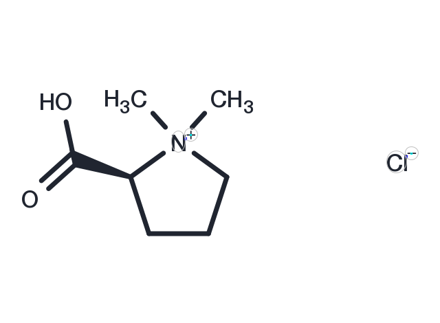 Stachydrine Hydrochloride