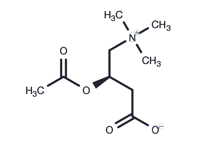 Acetyl-L-carnitine Chemical Structure